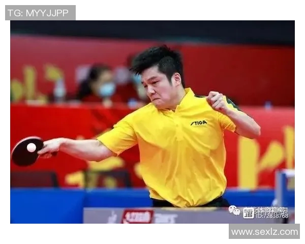 成都羽毛球队反击之路的得失与启示分析 成都羽毛球队反击之路的得失与启示分析