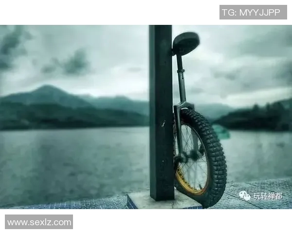 深圳极限运动队的灵活性分析与发展前景探讨