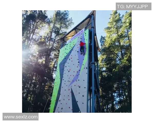 王丽亲述攀岩技巧与心路历程助你突破自我极限