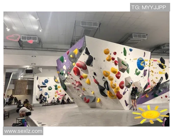 西安攀岩队的进攻体系与战术分析探讨攀岩竞技的未来发展 西安攀岩队的进攻体系与战术分析探讨攀岩竞技的未来发展