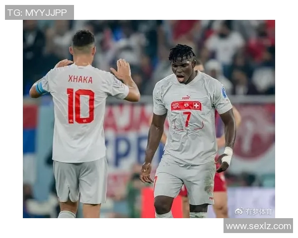 巴西与瑞士精彩对决录像回放尽在优酷平台观看