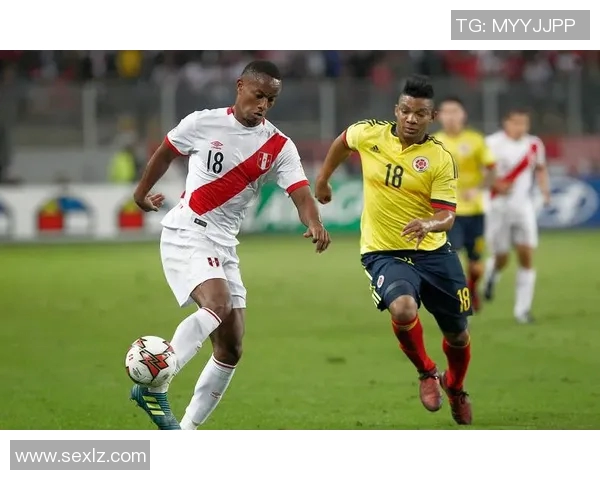 瑞典与秘鲁足球比赛数据深度分析及战术对比探讨