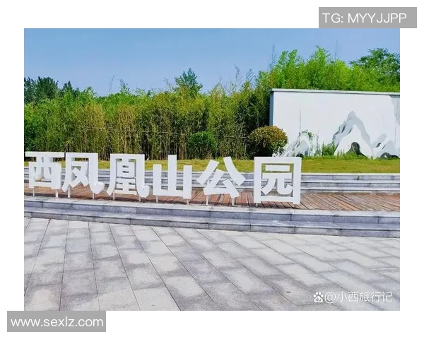 西悉尼漫步与凤凰之旅的精彩对比与体验分享