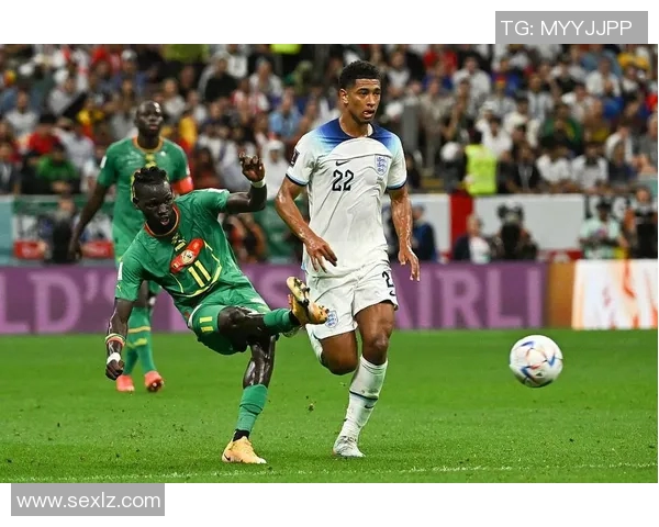 加纳与卡塔尔激战正酣比赛结果揭晓引发热议